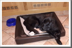Klicken Sie auf das Bild, um es zu vergrößern