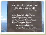 Klicken Sie auf das Bild, um es zu vergrößern