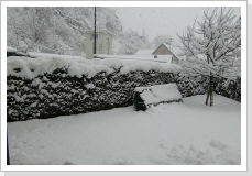 Klicken Sie auf das Bild, um es zu vergrößern